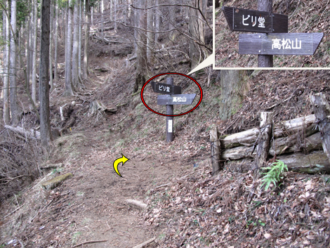 20160121hike (91)